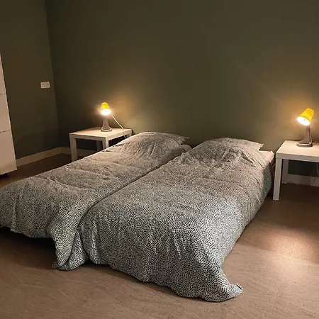 Charming Family Loft Near The Parc De Belleville アパート *